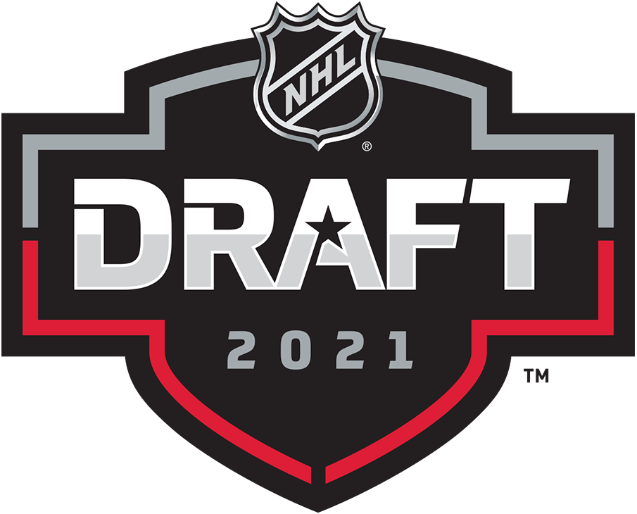 NHL Draft 2021 Primary Logo DIY iron on transfer (heat transfer)